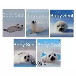 Тетрадь 48 листов в клетку "Малыш белёк", обложка мелованный картон, металлизация, блок офсет