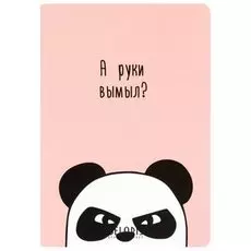 Тетрадь 48л "А руки вымыл"