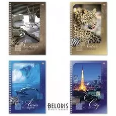 Тетрадь 80 л. клетка