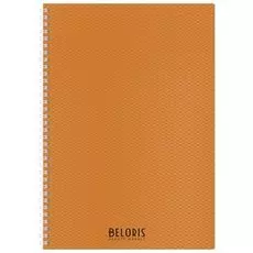 Тетрадь 80 л. клетка Diamond Neon