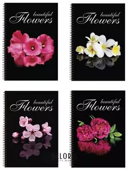 Тетрадь 96 л. клетка Красивые цветы