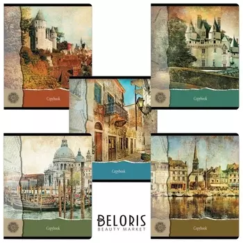 Тетрадь 96 л. клетка "С видом на замок"