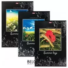 Тетрадь 96 л. клетка Summer Days