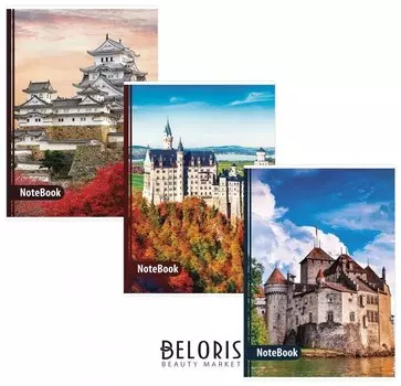 Тетрадь 96 л. клетка Замки