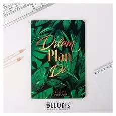 Тетрадь Dream PLAN Do