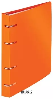 Тетрадь на кольцах 120 л.