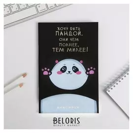 Тетрадь с черными листами 15 листов "Панда", 21 х 14 см