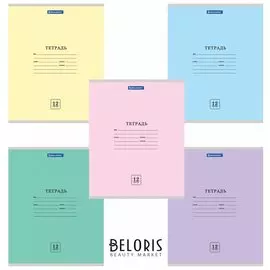 Тетрадь в клетку 12 листов А5 Эко