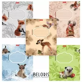 Тетрадь в клетку 12 листов А5 Пушистые зверушки