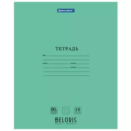 Тетрадь в клетку 18 листов А5 Extra