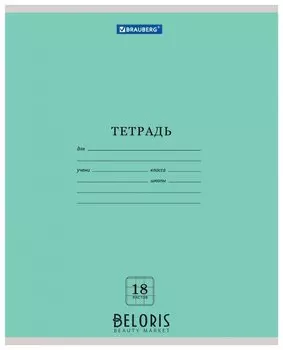 Тетрадь в клетку 18 листов А5 Эко