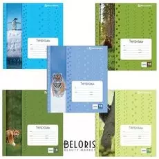 Тетрадь в клетку 18 листов А5 Следопыты