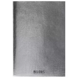 Тетрадь в клетку 48 листов А4 Metallic