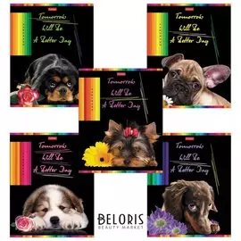 Тетрадь в клетку 48 листов А5 Better day