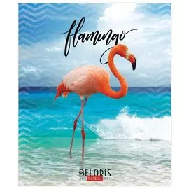 Тетрадь в клетку 48 листов А5 Фламинго