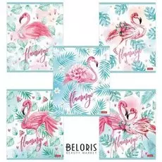 Тетрадь в клетку 48 листов А5 Фламинго