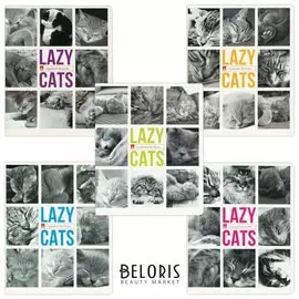 Тетрадь в клетку 48 листов А5 Ленивые котята