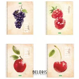 Тетрадь в клетку 80 листов А5 Fruit Style
