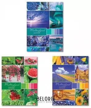 Тетрадь в клетку 96 листов А4 Разноцветный мир