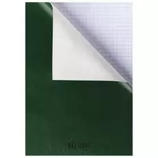 Тетрадь в клетку 96 листов А4 Зеленый