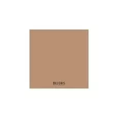 Тональная основа для лица Lasting perfomance