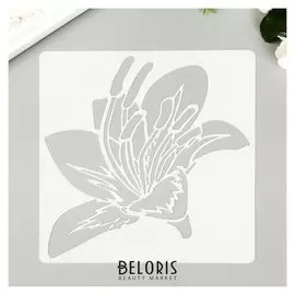 Трафарет пластик "Лилия" 13х13 см