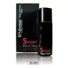 Туалетная вода мужская Black Max Sport (Объем 100 мл)