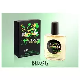 Туалетная вода мужская Noir (Объем 100 мл)