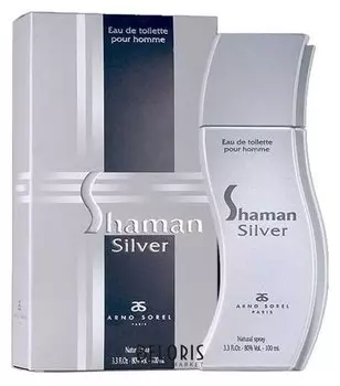 Туалетная вода мужская Shaman Silver (Объем 100 мл)