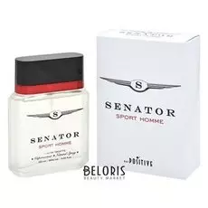 Туалетная вода Позитив Парфюм