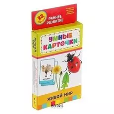 Умные карточки «Живой мир», 32 карточки