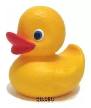 Утёнок малыш