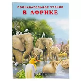 В Африке Гурина И. В.