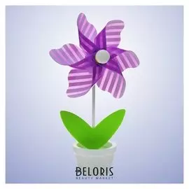 Ветерок «Полосатик», в горшочке