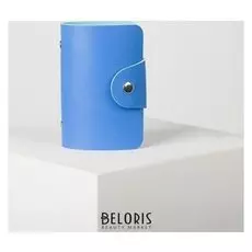 Визитница, 10 листов, цвет синий