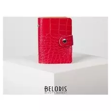 Визитница, 12 листов, цвет красный