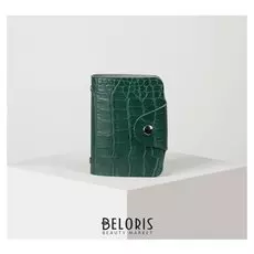 Визитница, 26 листов, цвет зелёный