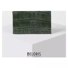 Визитница горизонтальная, 1 ряд, 18 листов, цвет зелёный