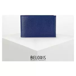 Визитница горизонтальная, 1 ряд, 18 листов, цвет синий