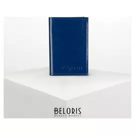 Визитница вертикальная, 1 ряд, 16 листов, цвет синий