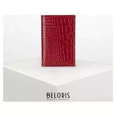 Визитница вертикальная, 1 ряд, 16 листов, цвет красный