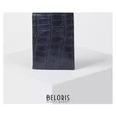 Визитница вертикальная, 1 ряд, 18 листов, цвет синий