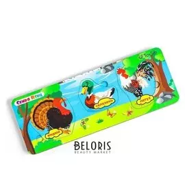 Вкладыш больше-меньше «Семья птиц» (Бизиборды)