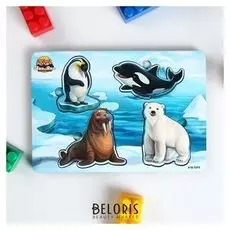 Вкладыши Мама и малыш. Арктика