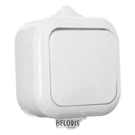 Выключатель "Элект" А1 10-001, 1 клавиша, наружный, брызгозащищенный