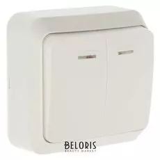 Выключатель Smartbuy "Юпитер", 10 А, 2 клавиши, накладной, с индикатором, белый