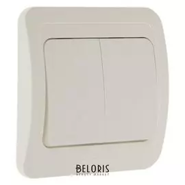 Выключатель Smartbuy "Марс", 10 А, 2 клавиши, скрытый, белый