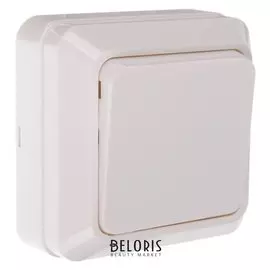 Выключатель TDM "Ладога", 10 А, Ip20, 1 клавиша, открытый, белый