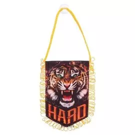 Вымпел в авто «Сила»