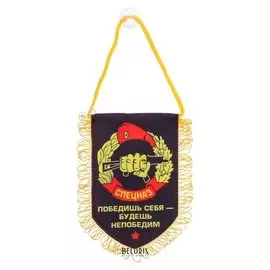 Вымпел в авто «Спецназ»